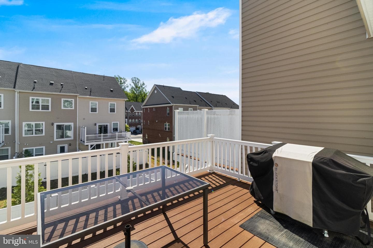 11230 Beatrix Potter Pl photo 10