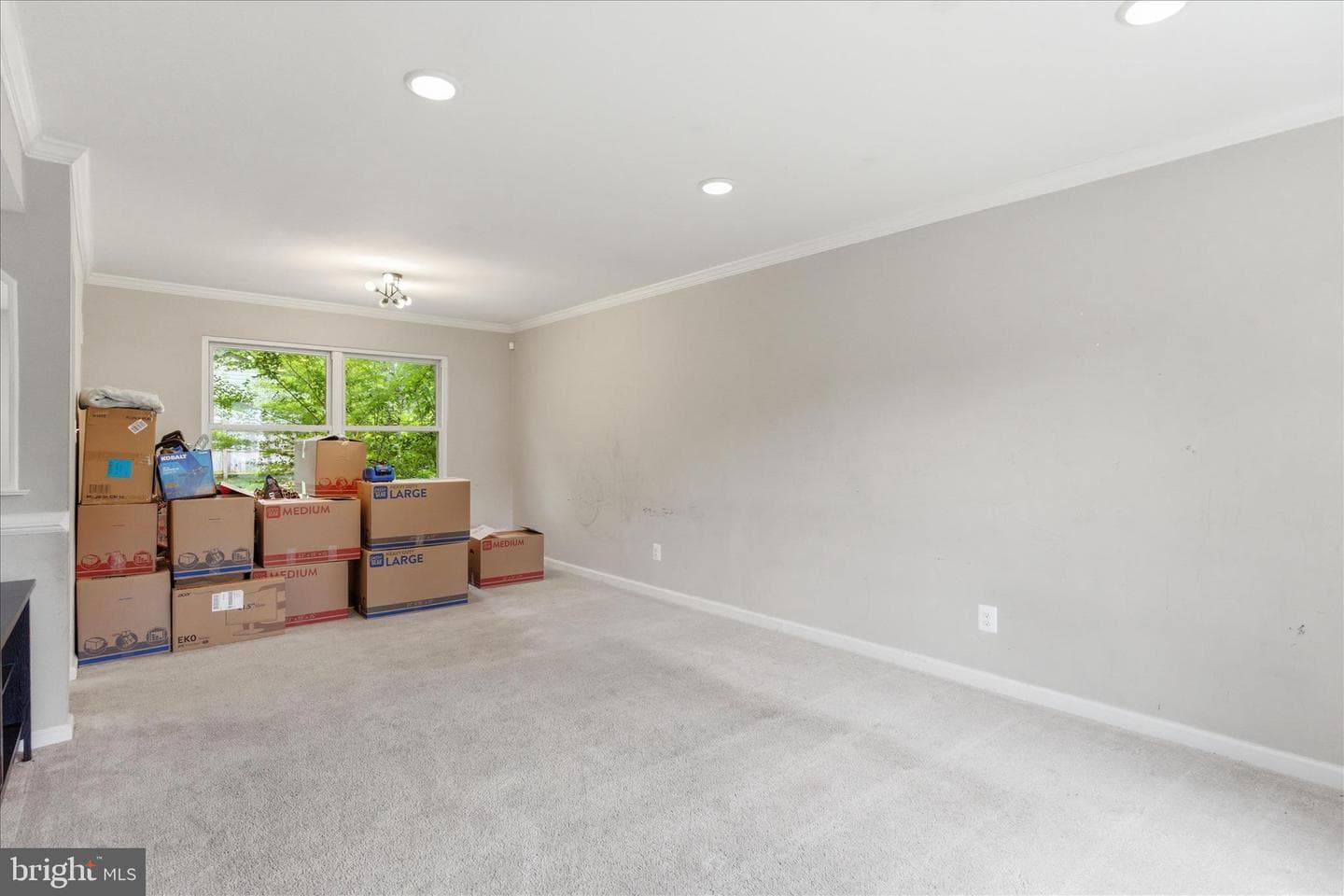 303 Garner Avenue photo 7