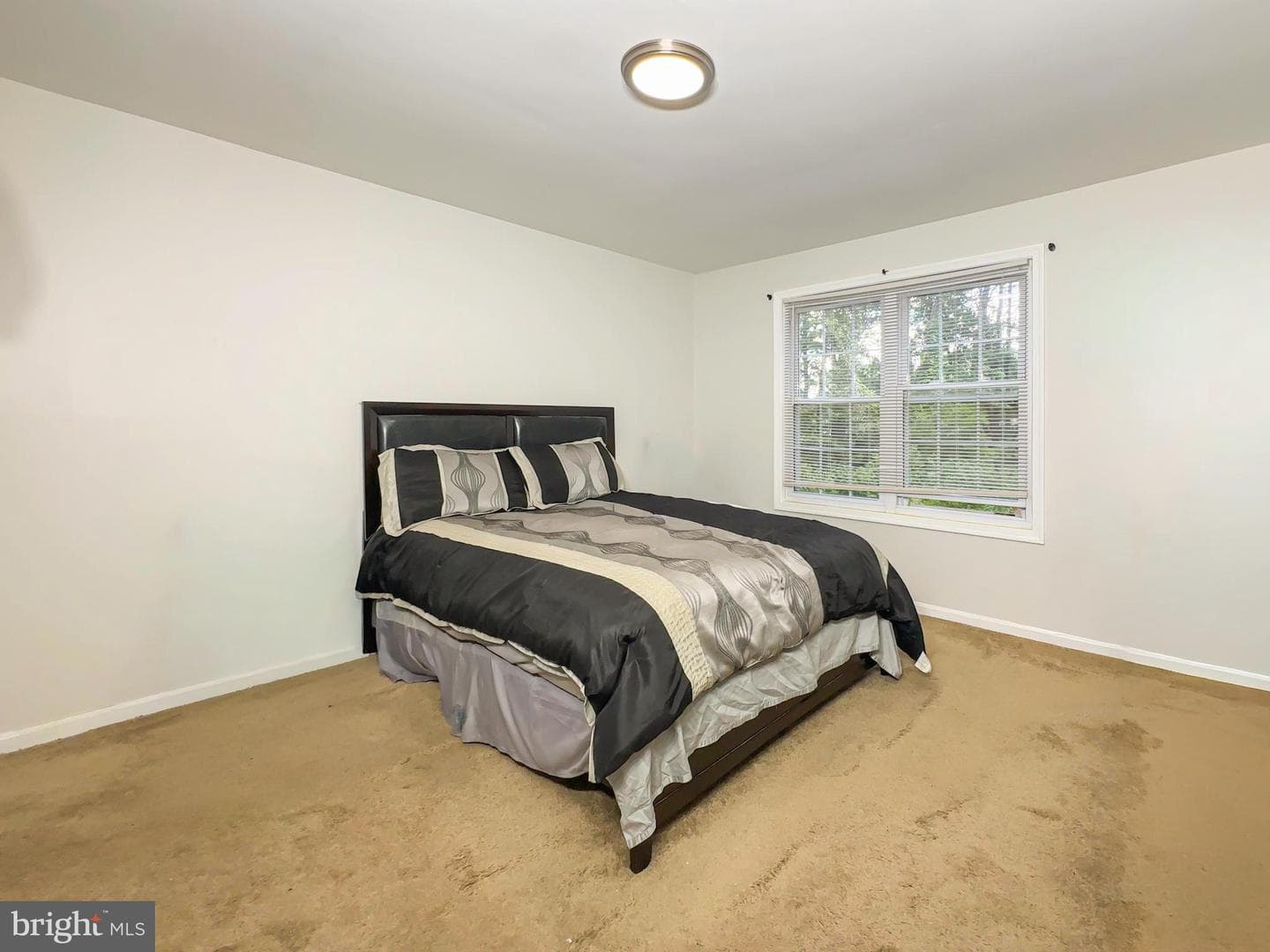 5123 Shawe Place #4-K photo 14
