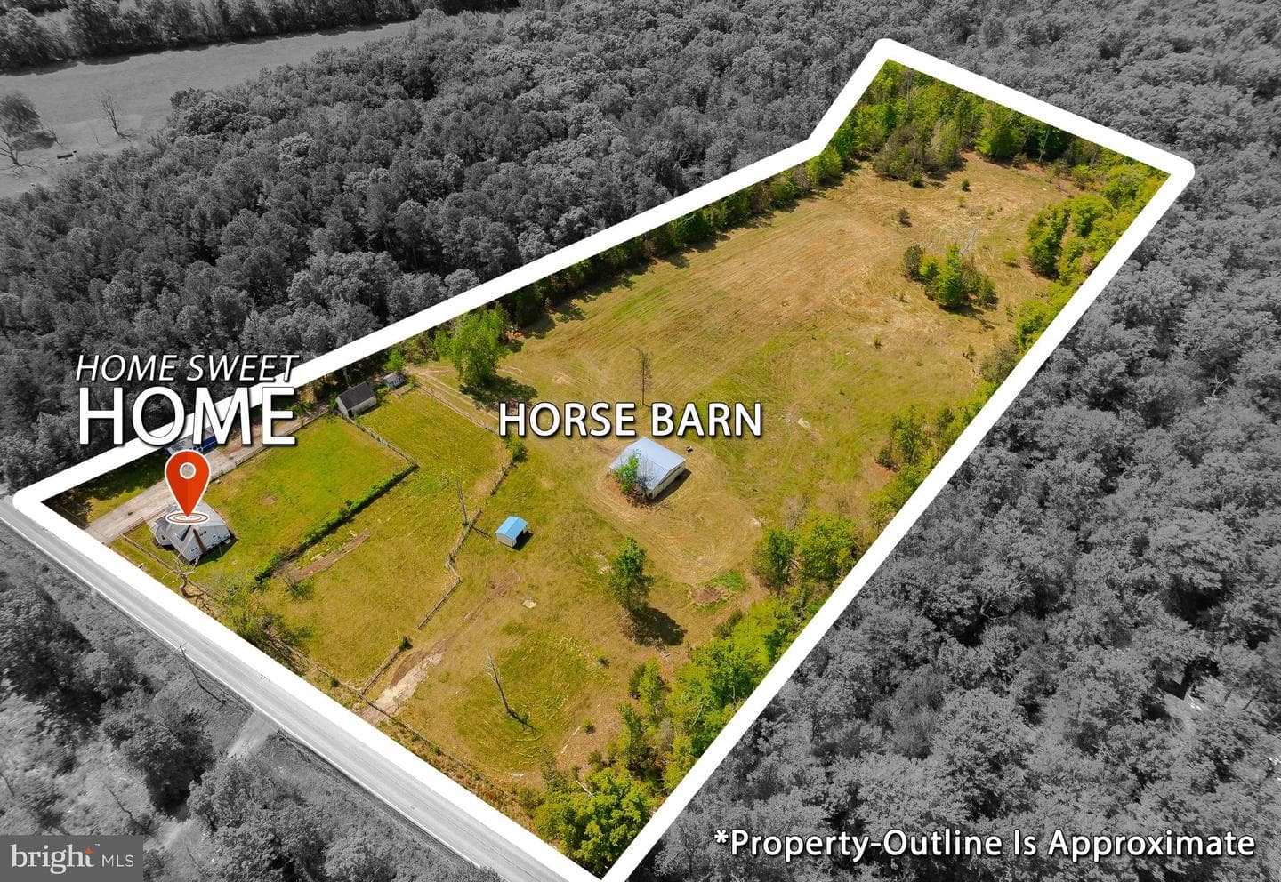 7779 Bumpy Oak Road photo 47