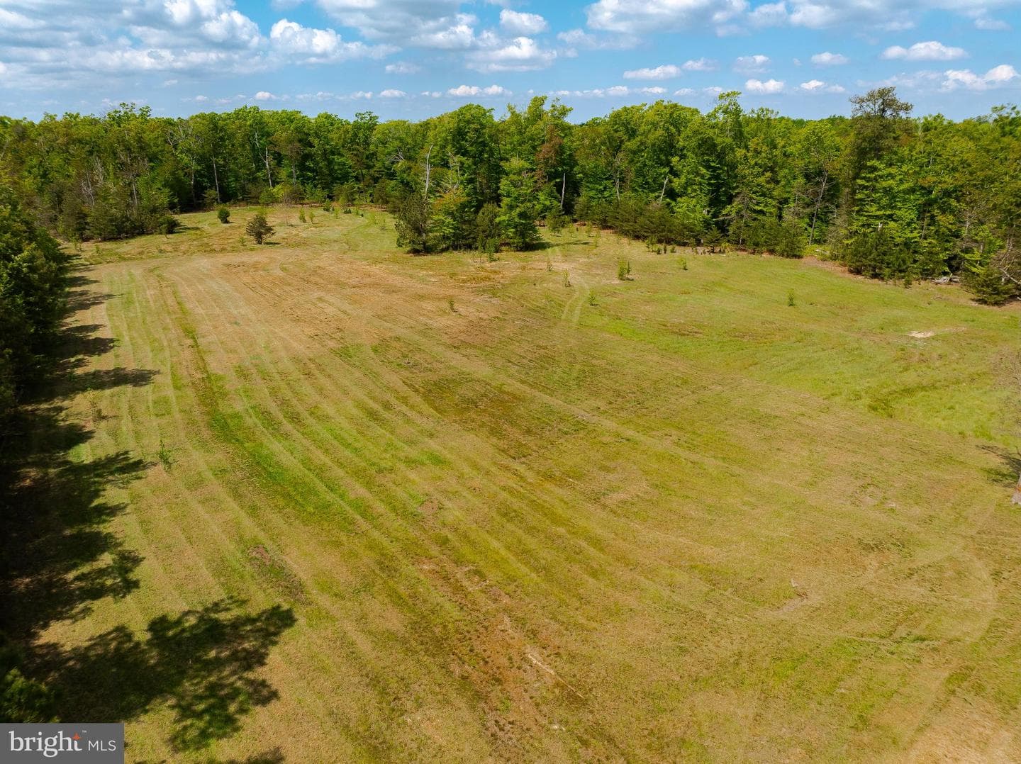 7779 Bumpy Oak Road photo 53