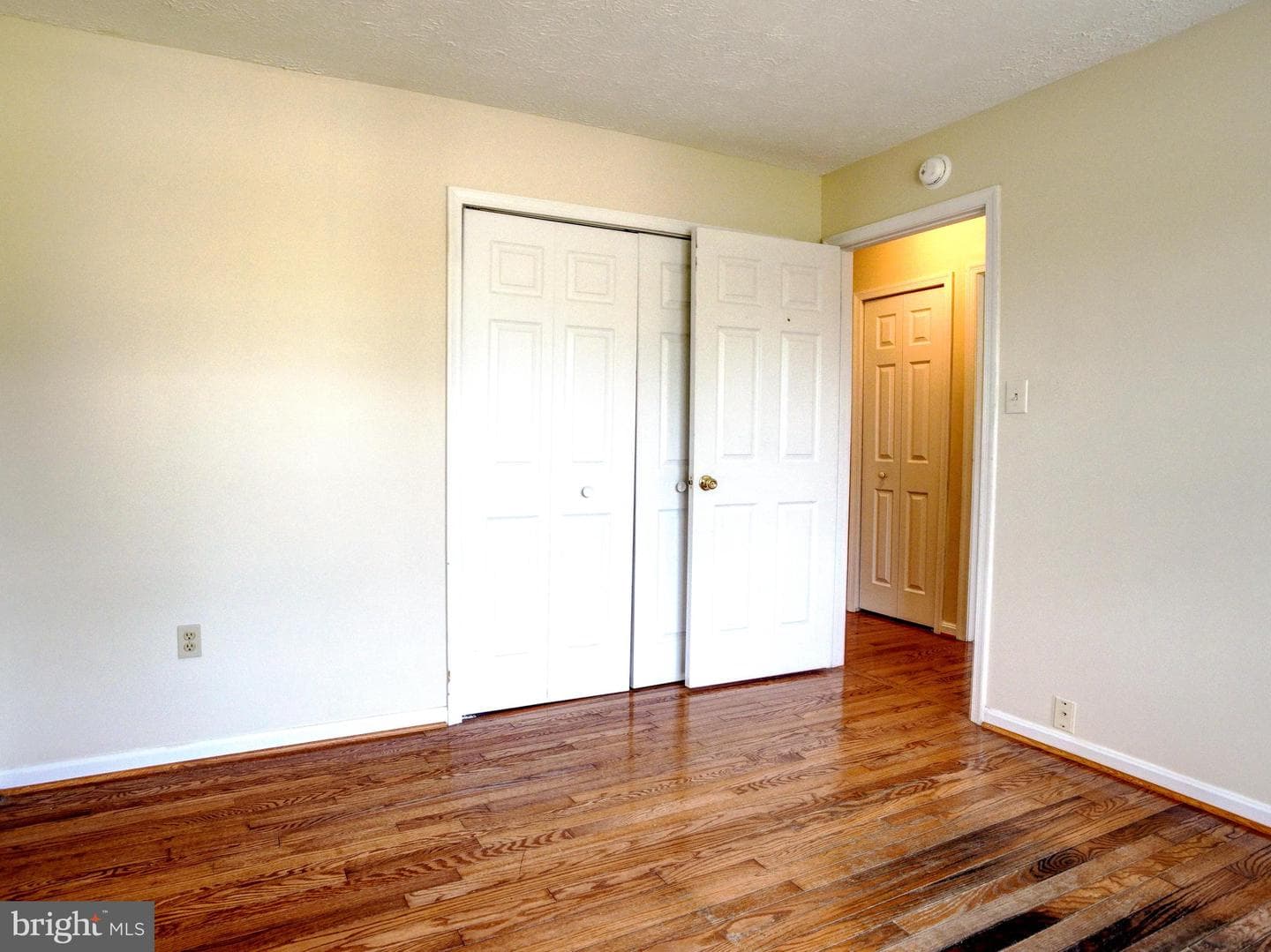 10389 Chamberlin Court E photo 17