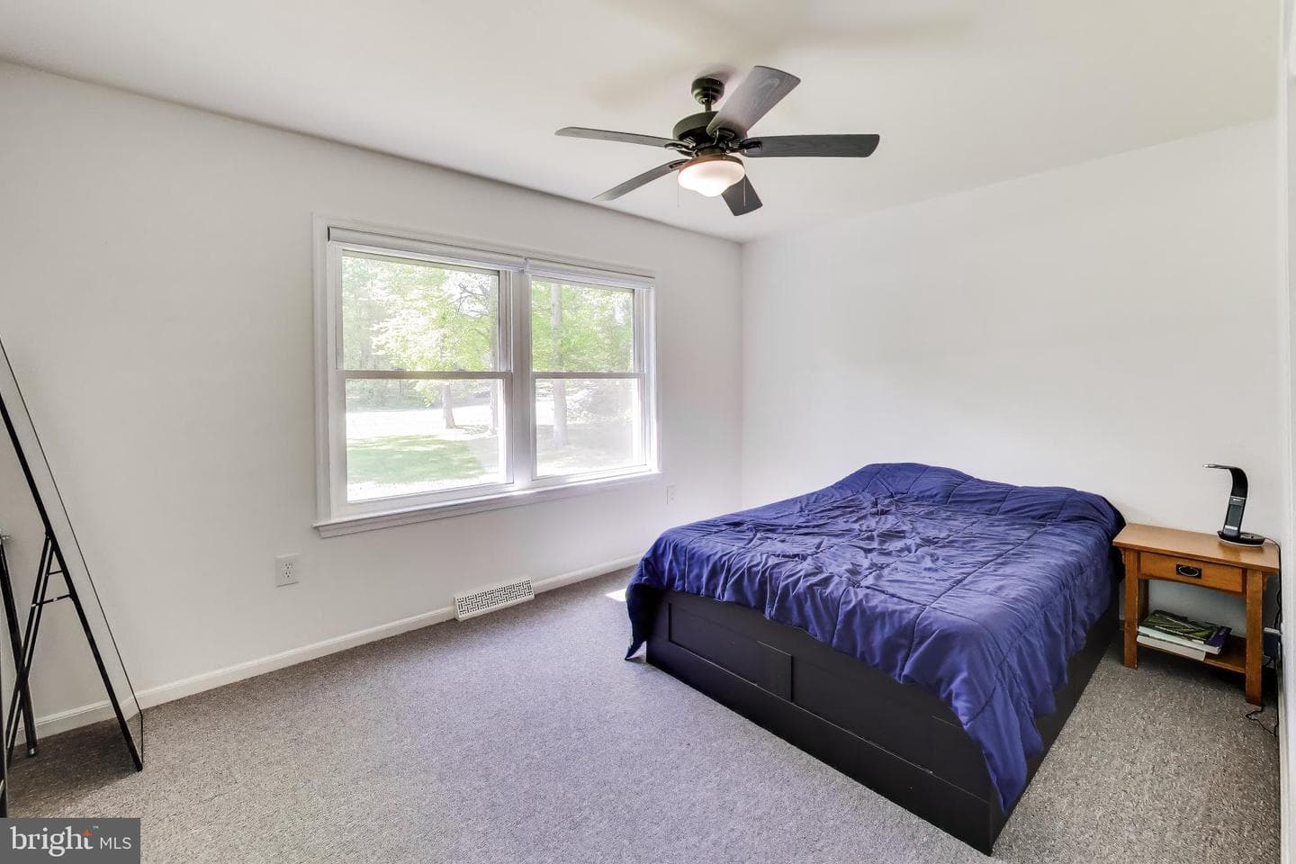 6670 Horseshoe Drive photo 11