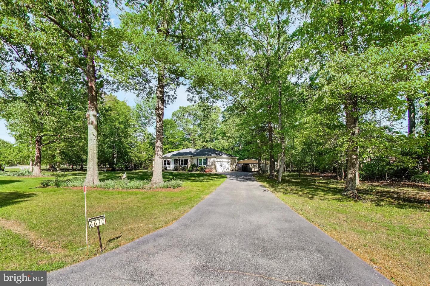 6670 Horseshoe Drive photo 19