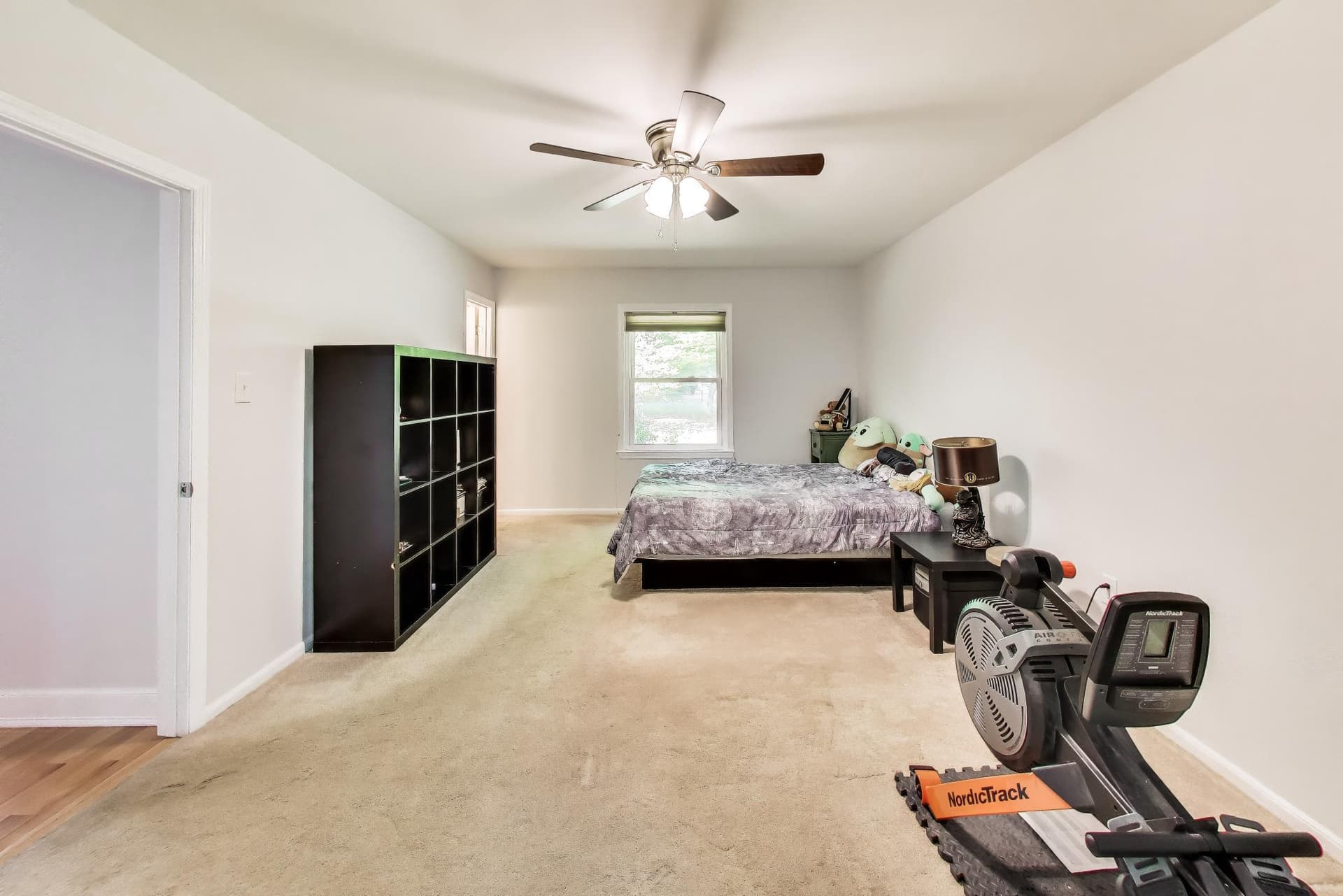 6670 Horseshoe Drive photo 9
