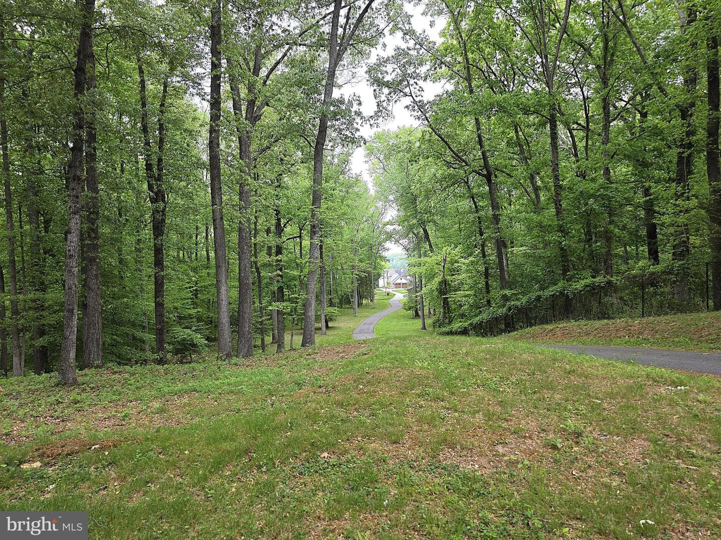 5355 Janore Court photo 7