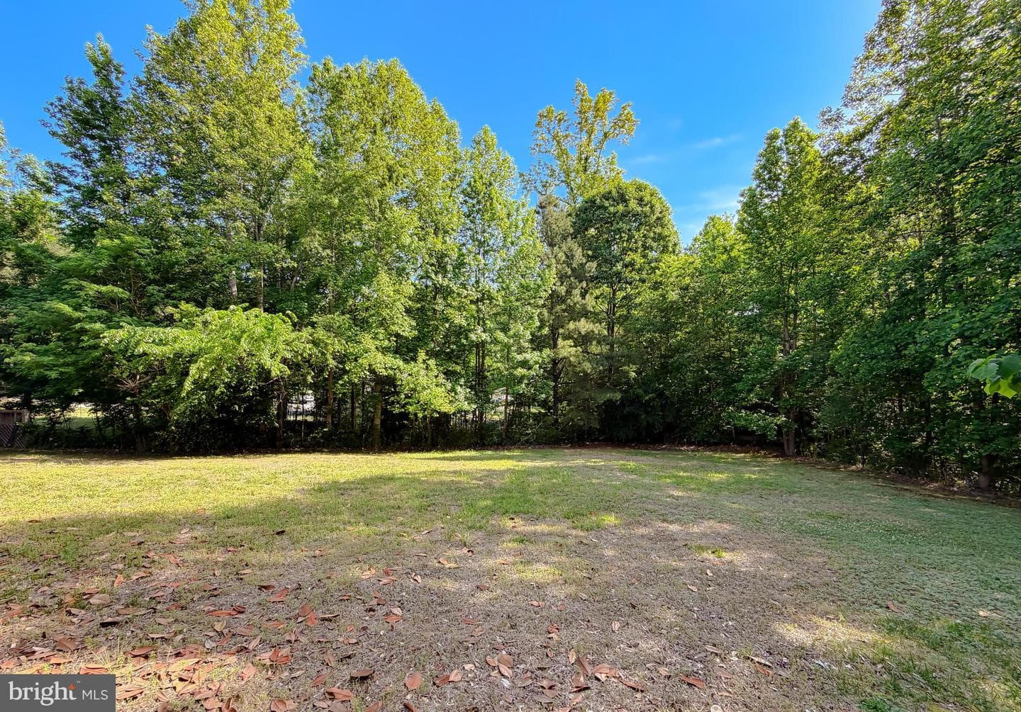 6890 Barney Drive photo 60