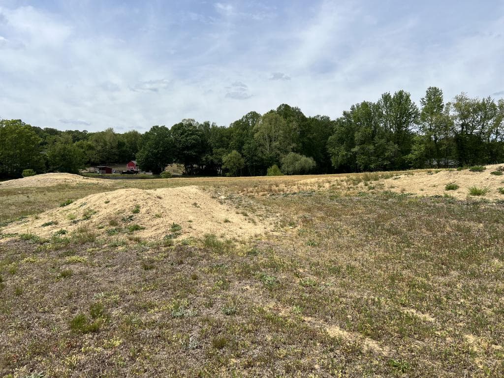 6975 Carrico Mill Rd photo 3