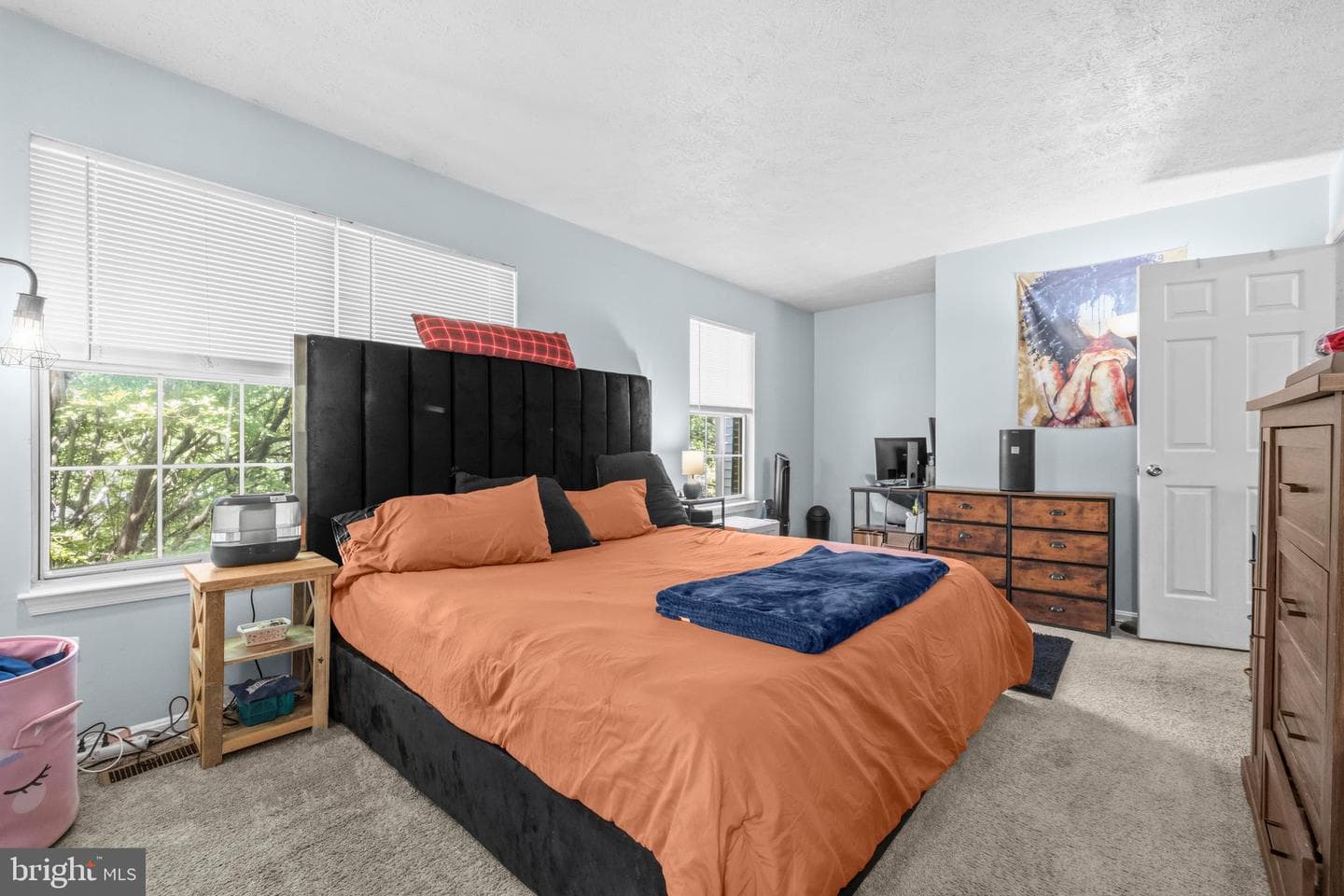 6056 Red Squirrel Place photo 11