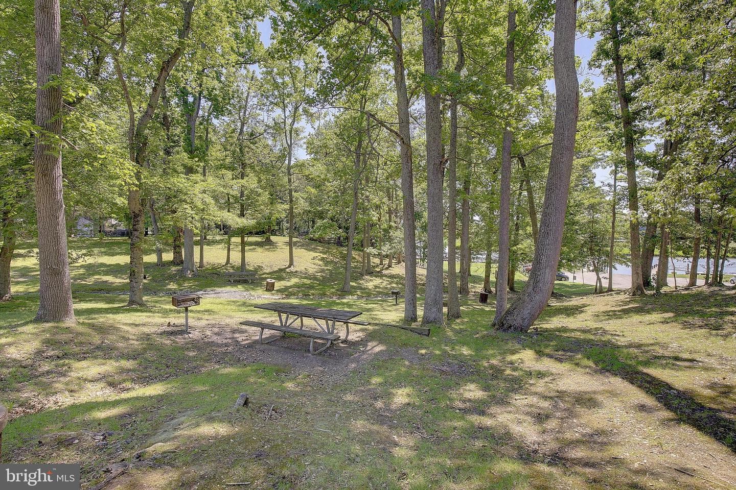 104 Mattingly Avenue photo 22