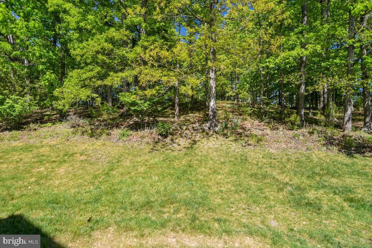 14550 Dusty Miller Court photo 13
