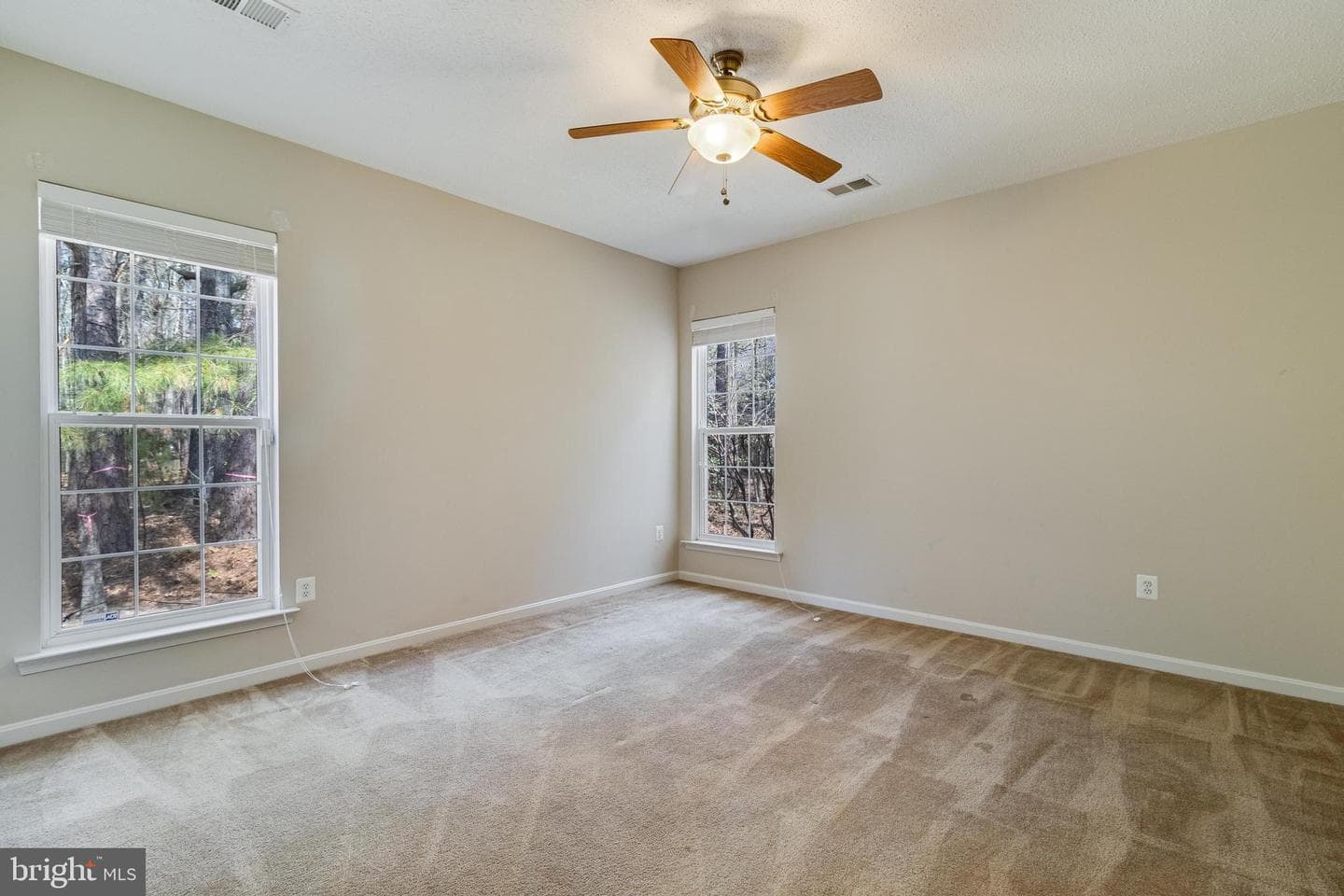 14850 King Charles Dr photo 13