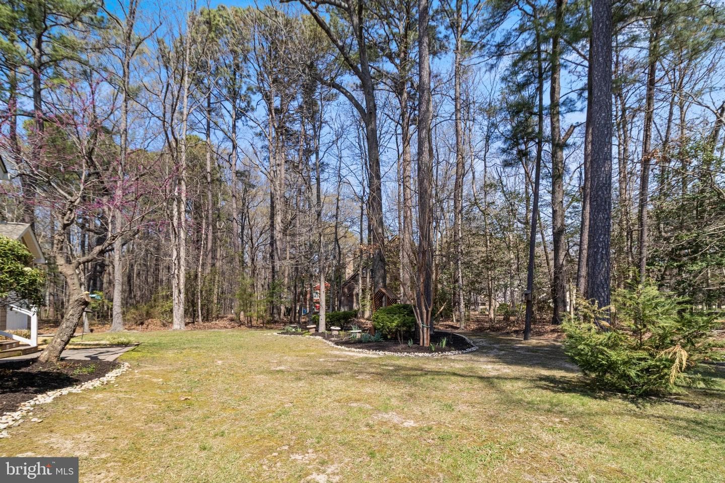 14850 King Charles Dr photo 41