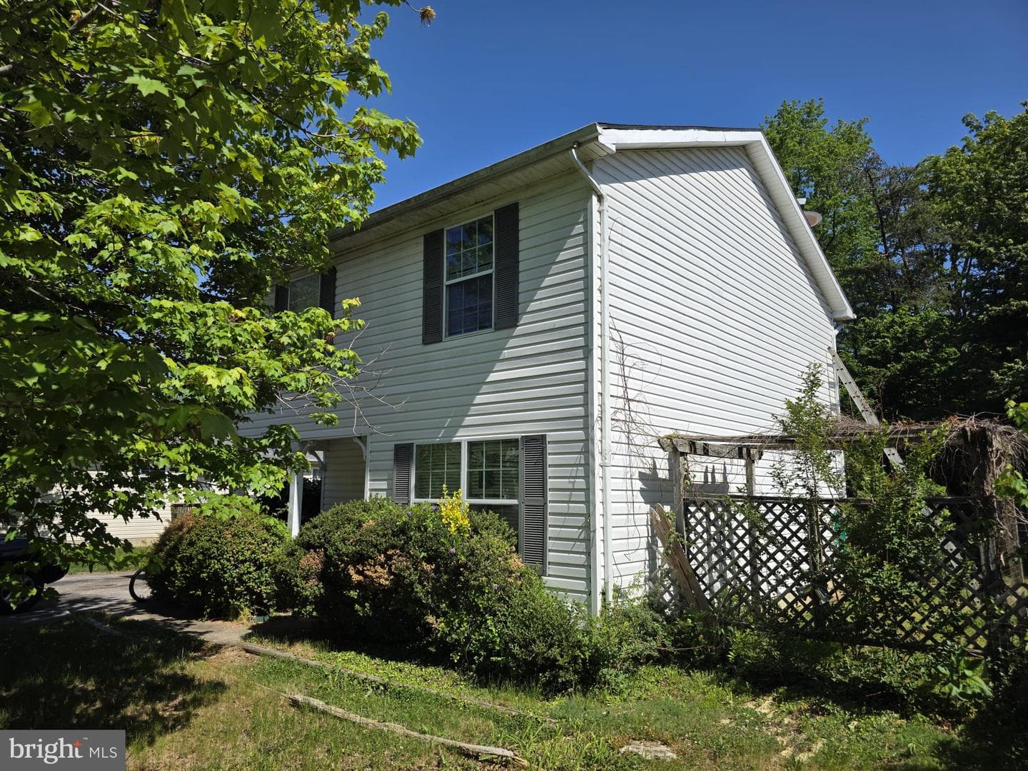 3362 Lox Street photo 3