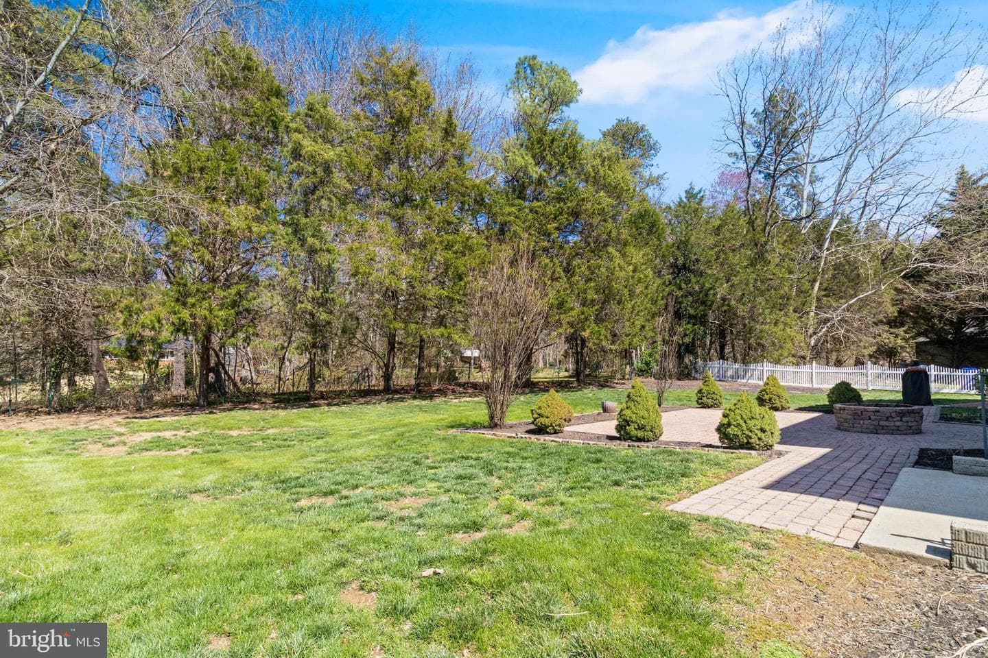 8800 Hill Spring Drive photo 7