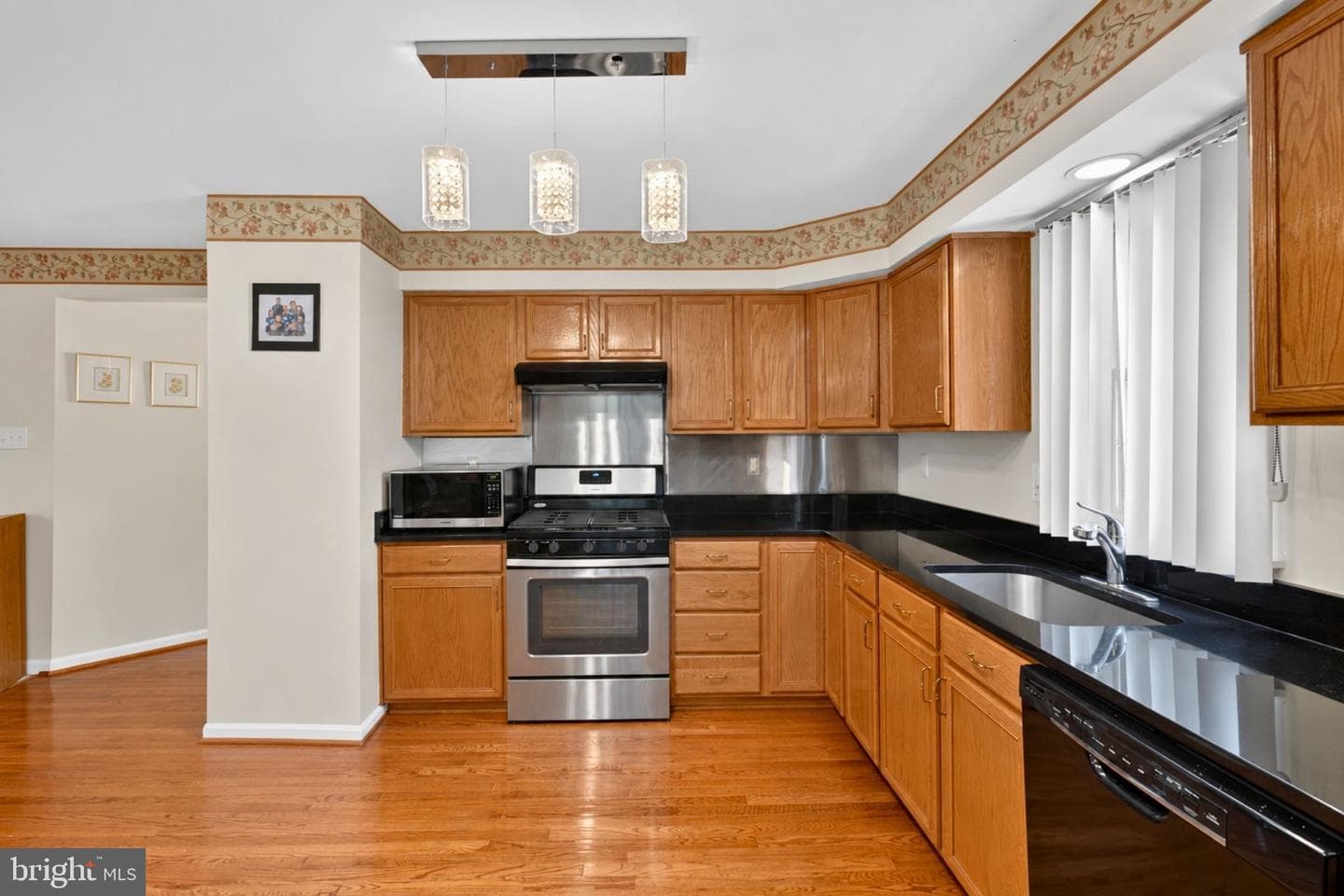 10166 Hubbard Court photo 5