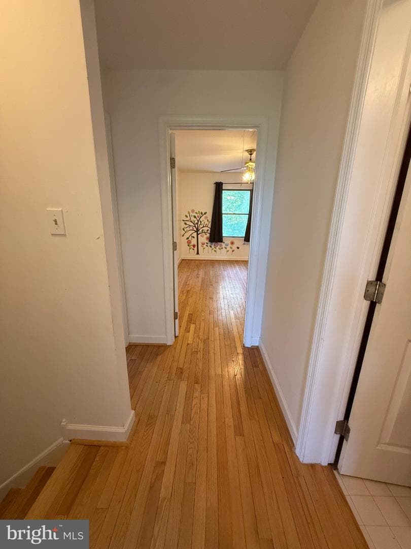 10680 Allens Fresh Road photo 18