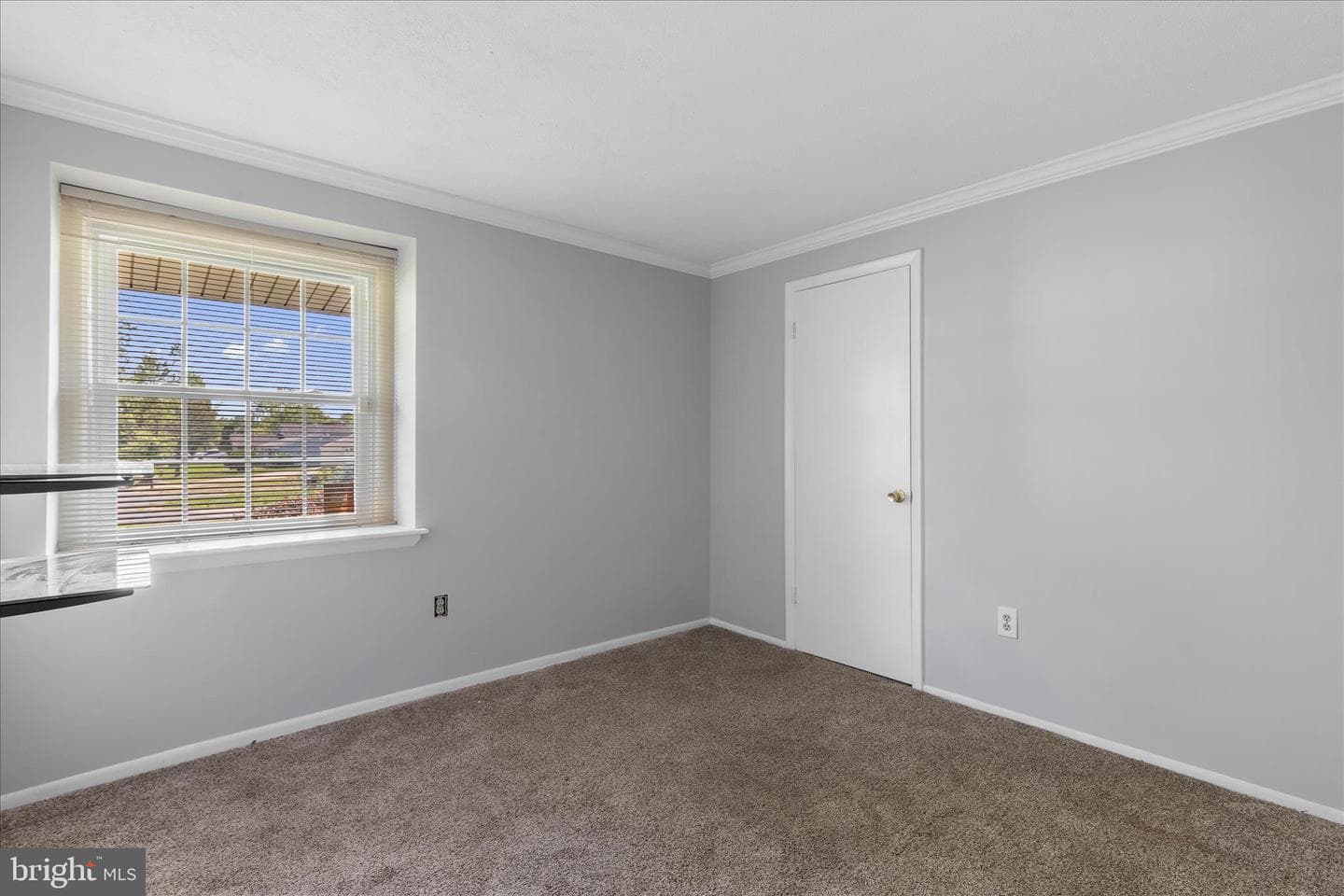 5516 Jeffrey Circle photo 29