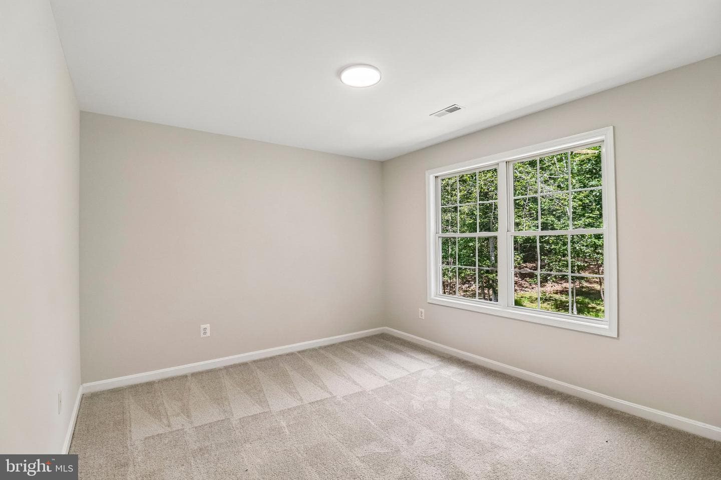 4827 Blueberry Drive photo 47