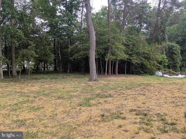 3109 Knolewater Court photo 20