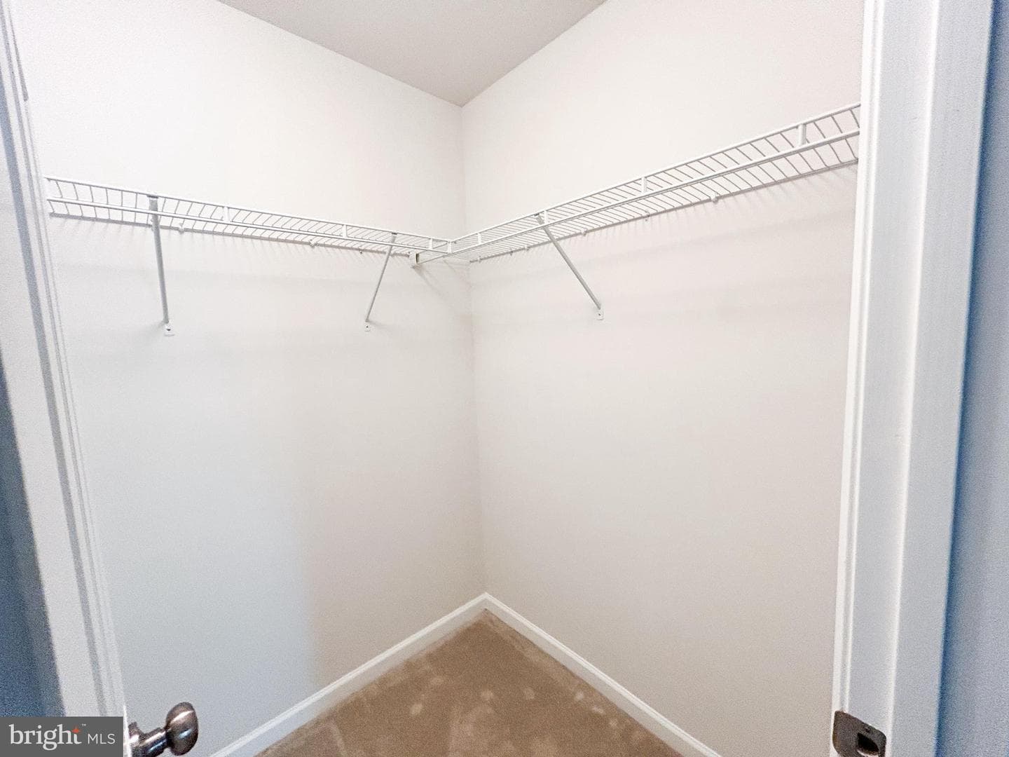 11551 Beacon Hill Court photo 49