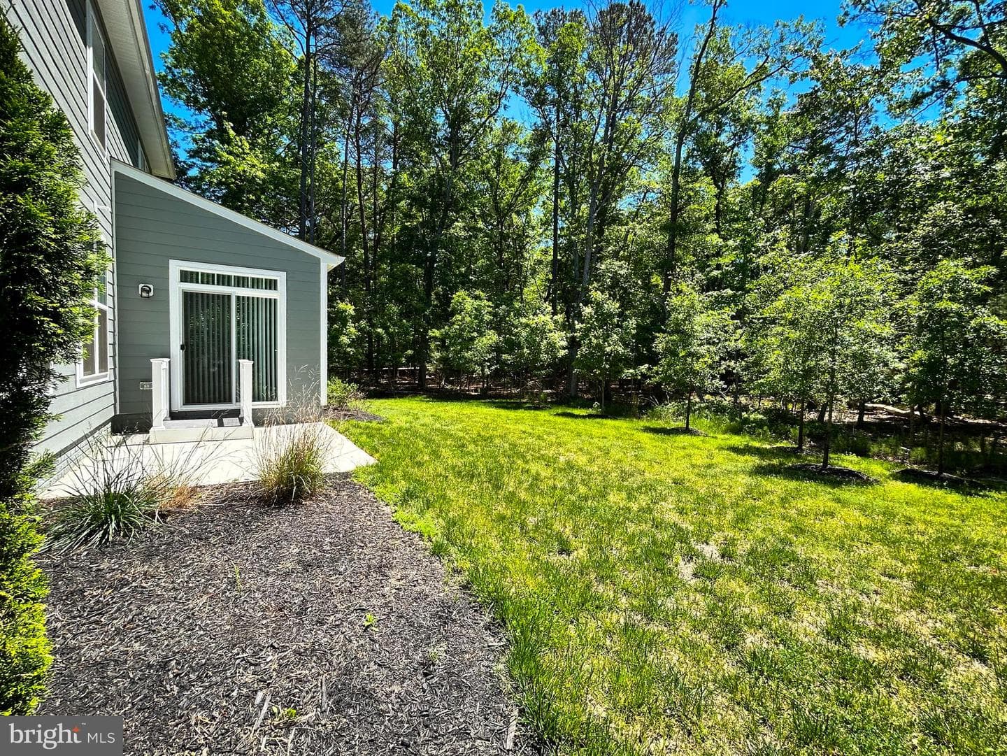 11551 Beacon Hill Court photo 7