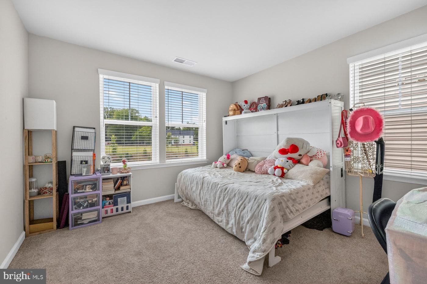 10021 Selkie Lane photo 20