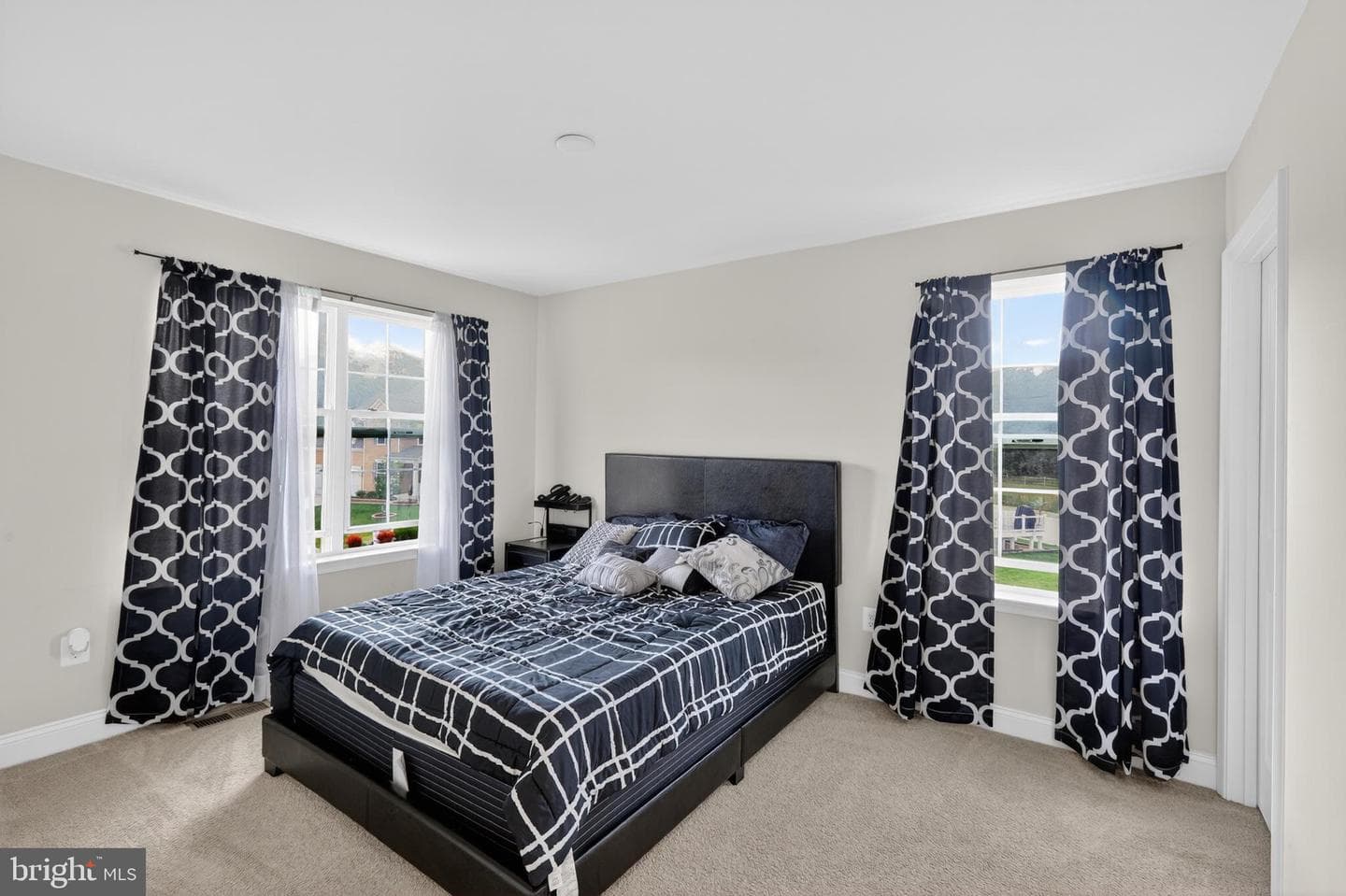 11077 Mcintosh Court photo 29