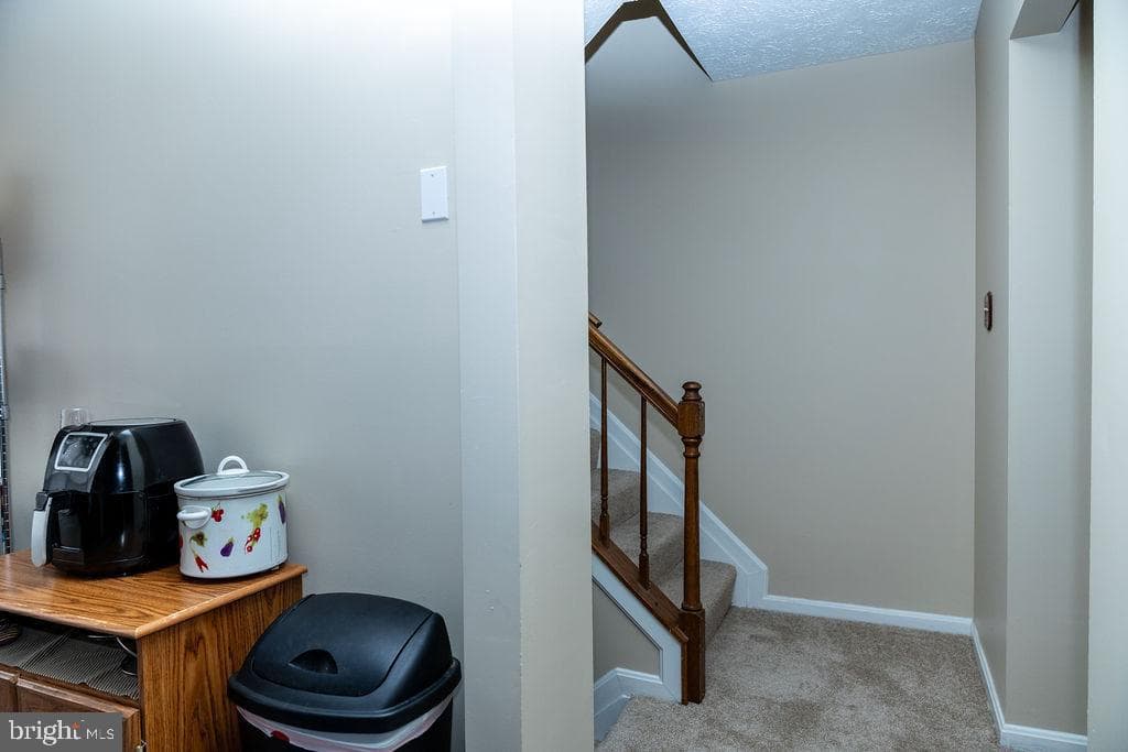 29 Dale Drive photo 13