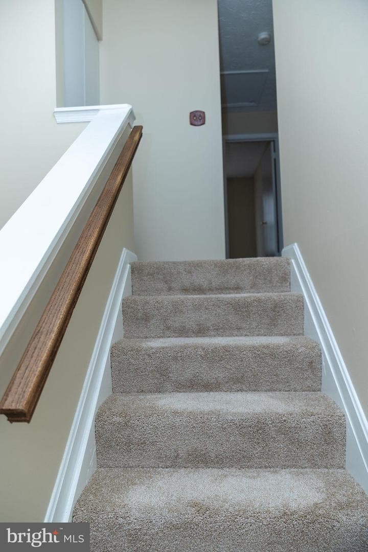 29 Dale Drive photo 15