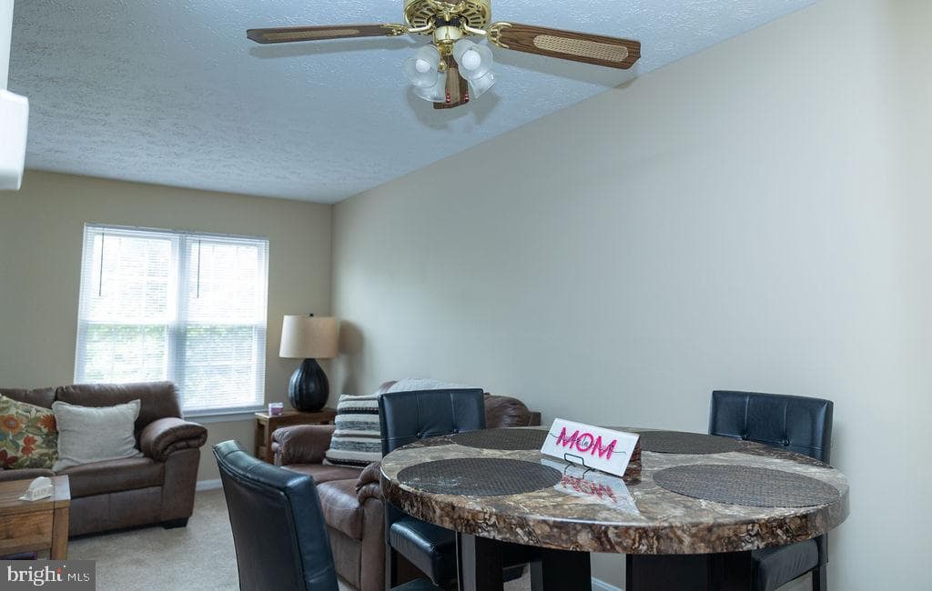 29 Dale Drive photo 9