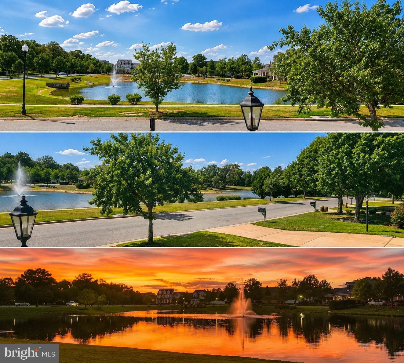 11686 Mustang Creek Court photo 45