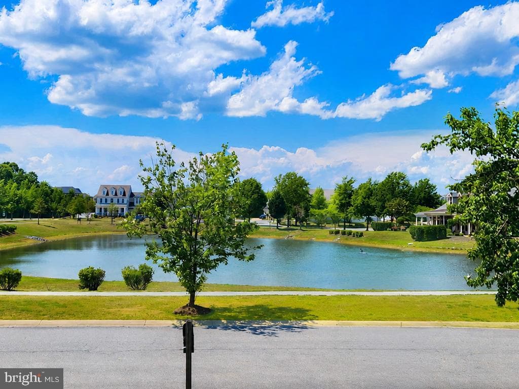 11686 Mustang Creek Court photo 46