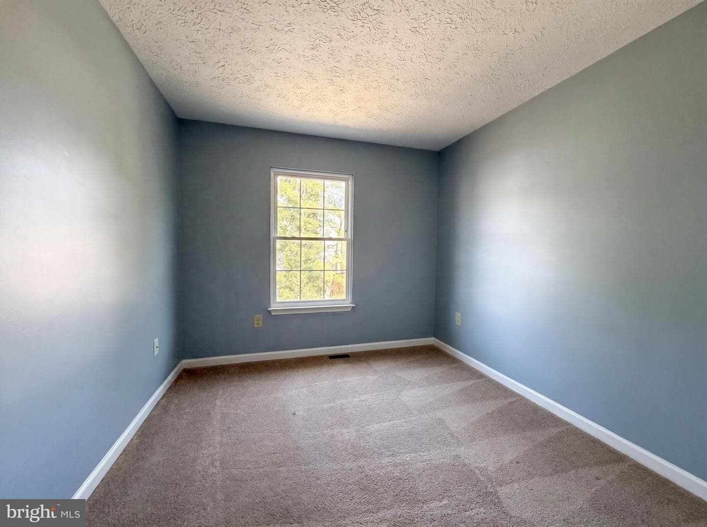 5812 Springfish Place photo 11