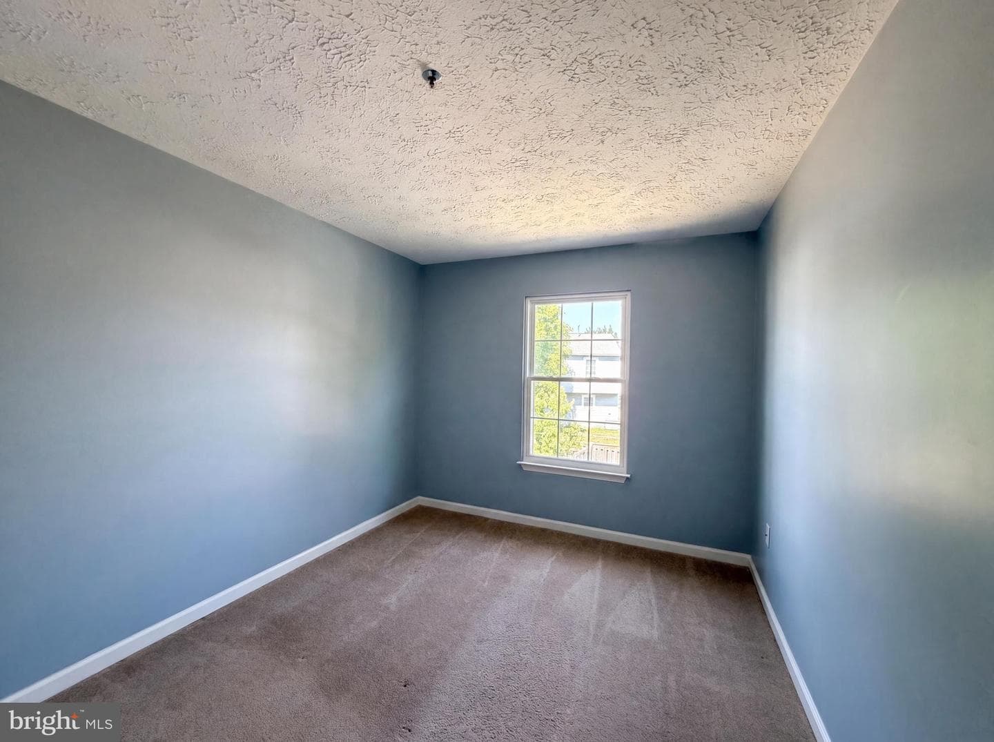 5812 Springfish Place photo 15