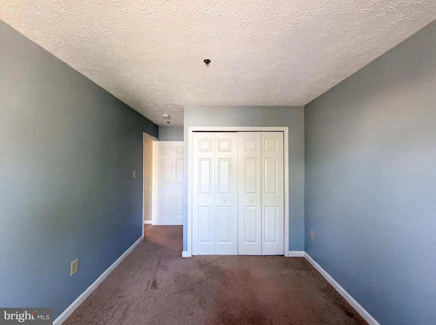 5812 Springfish Place photo 18