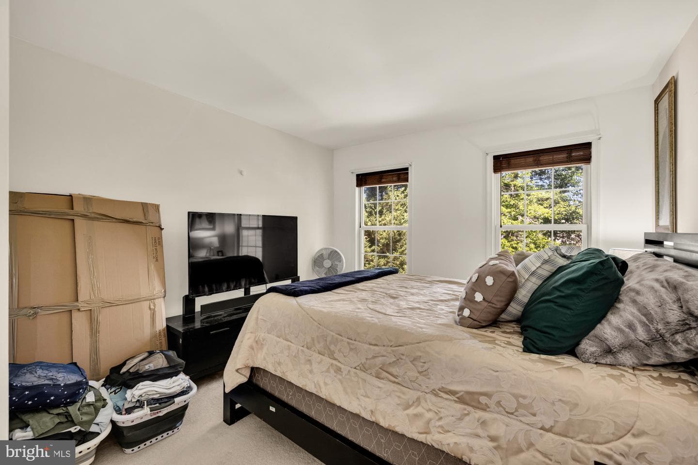 5007 Damselfish Court photo 27
