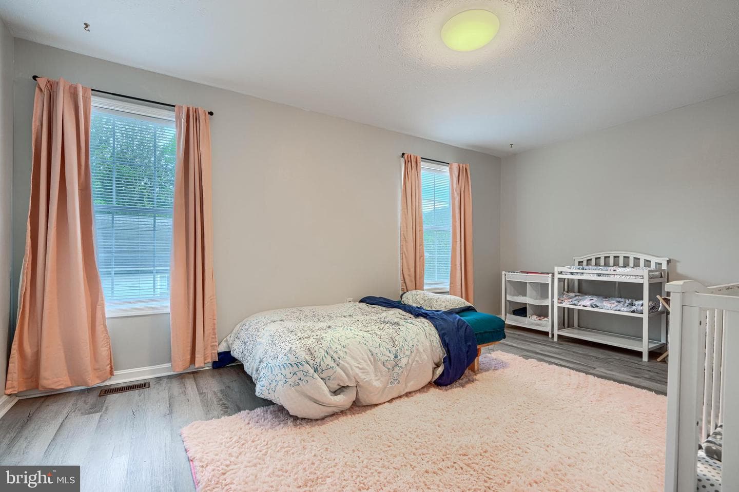 239 Charleston Court photo 15