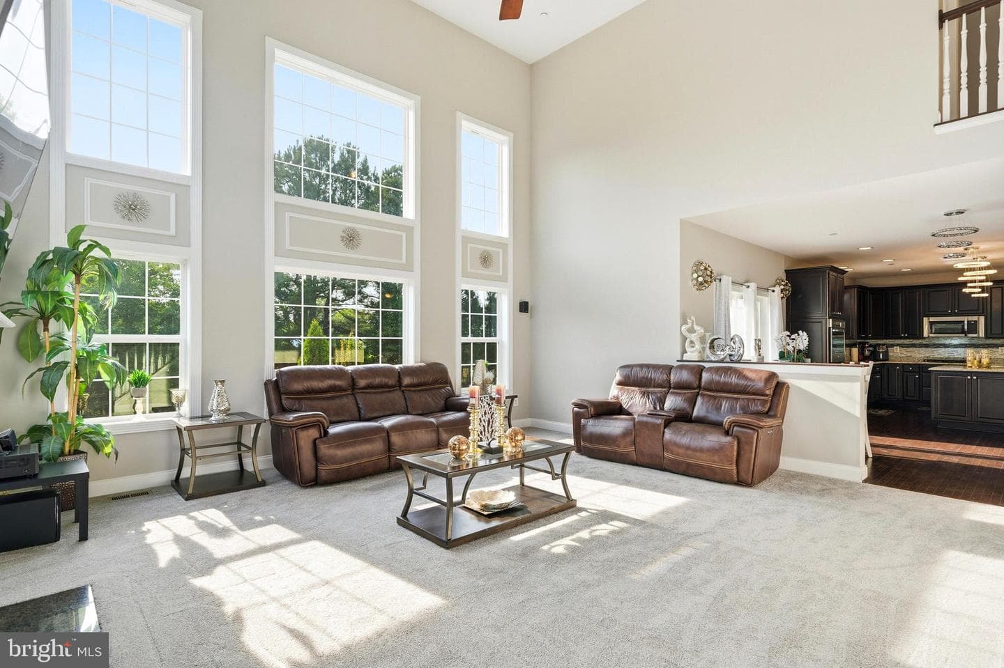 7253 Filly Court photo 20