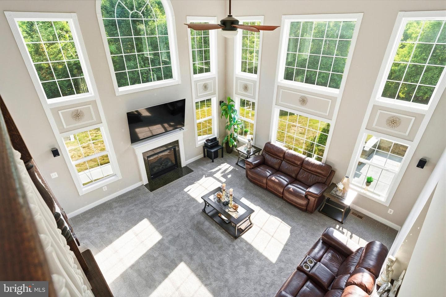 7253 Filly Court photo 4