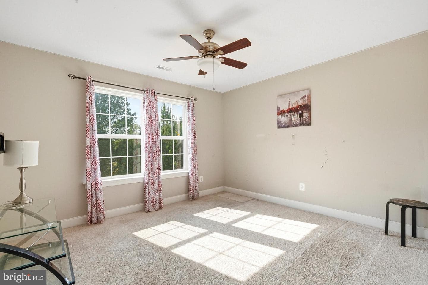 7253 Filly Court photo 44