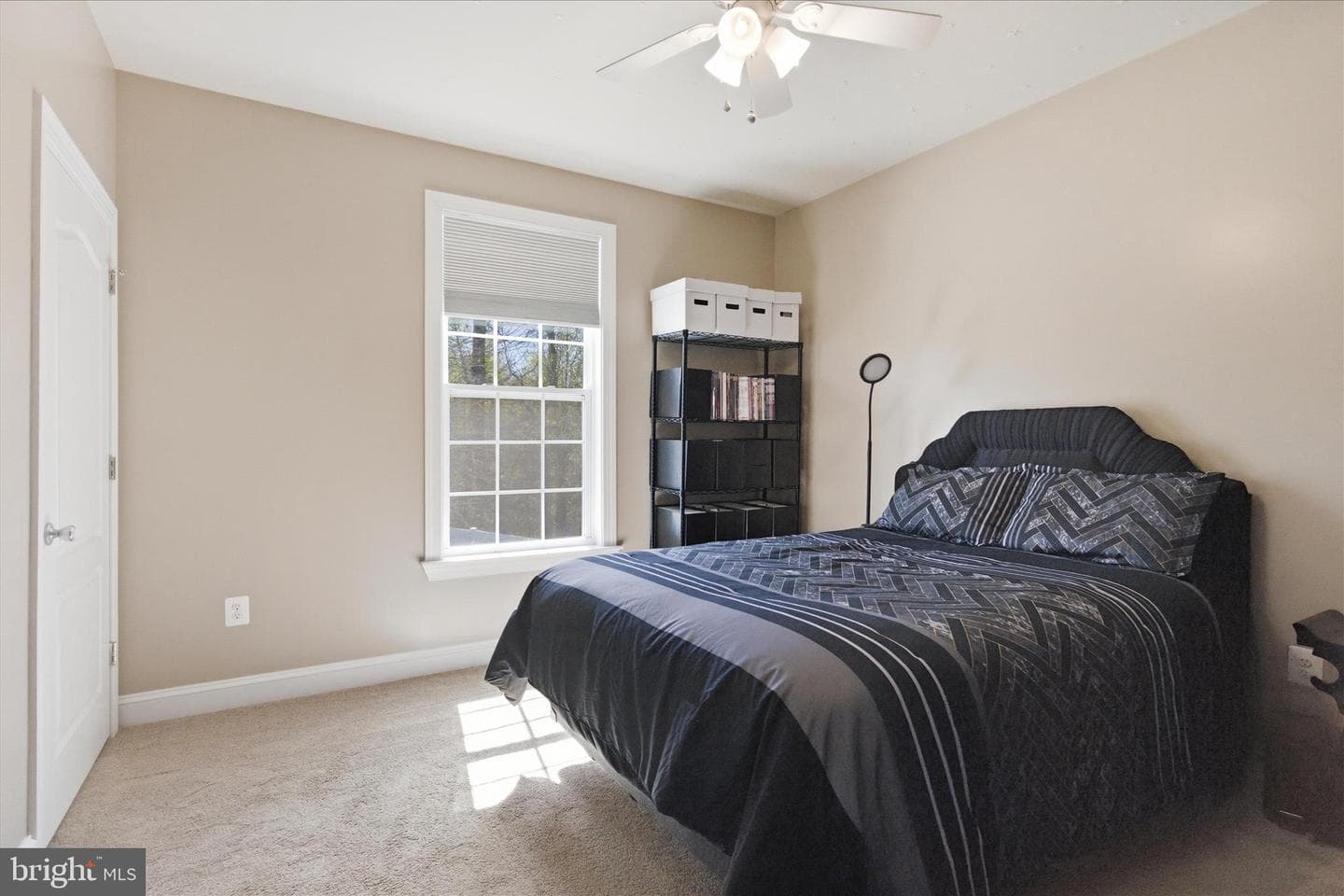 7098 Quicktree Place photo 18