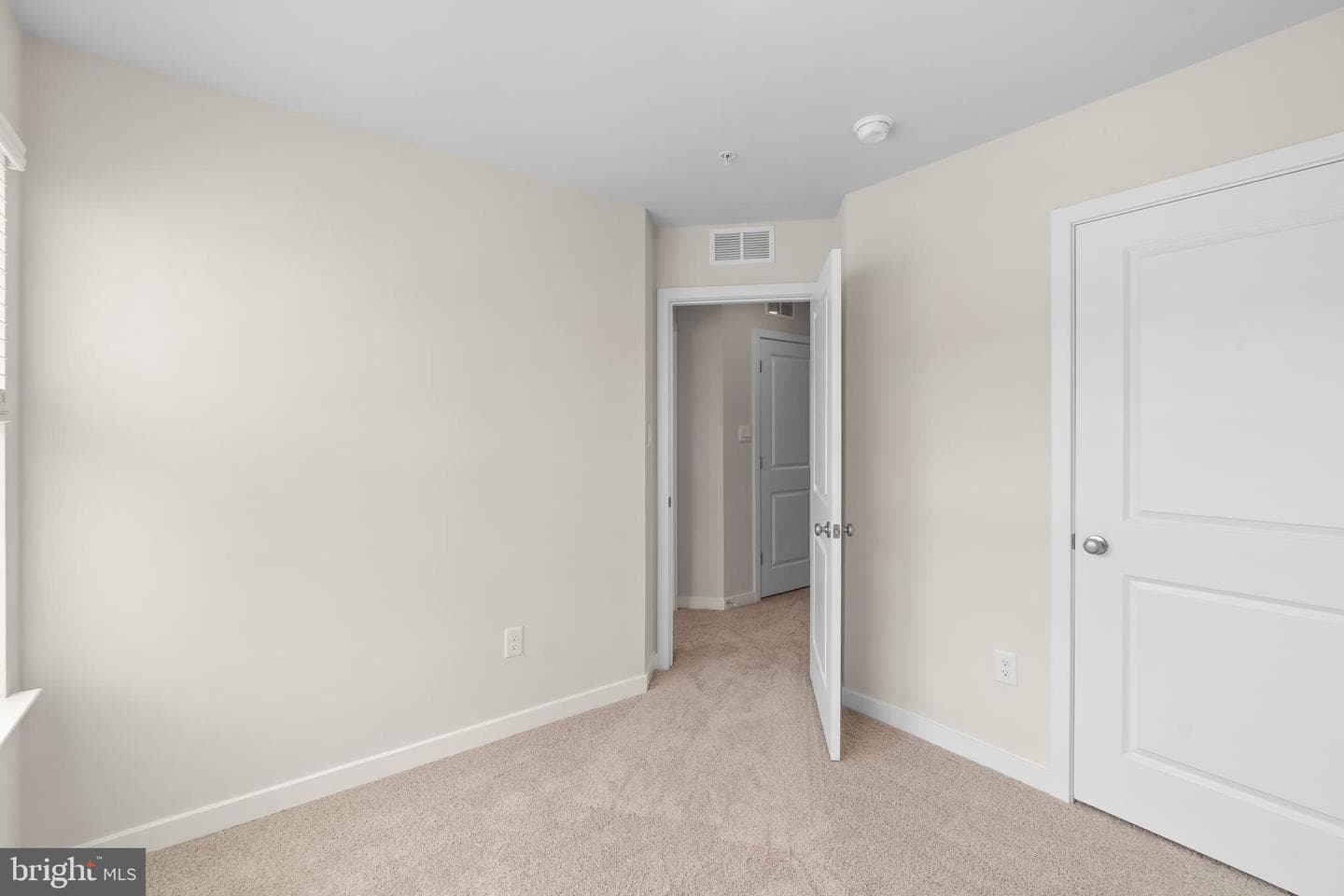 204 Soft Rush Lane photo 29