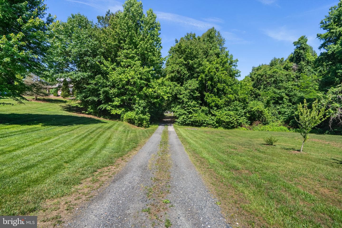 6975 Orchard View Lane photo 34