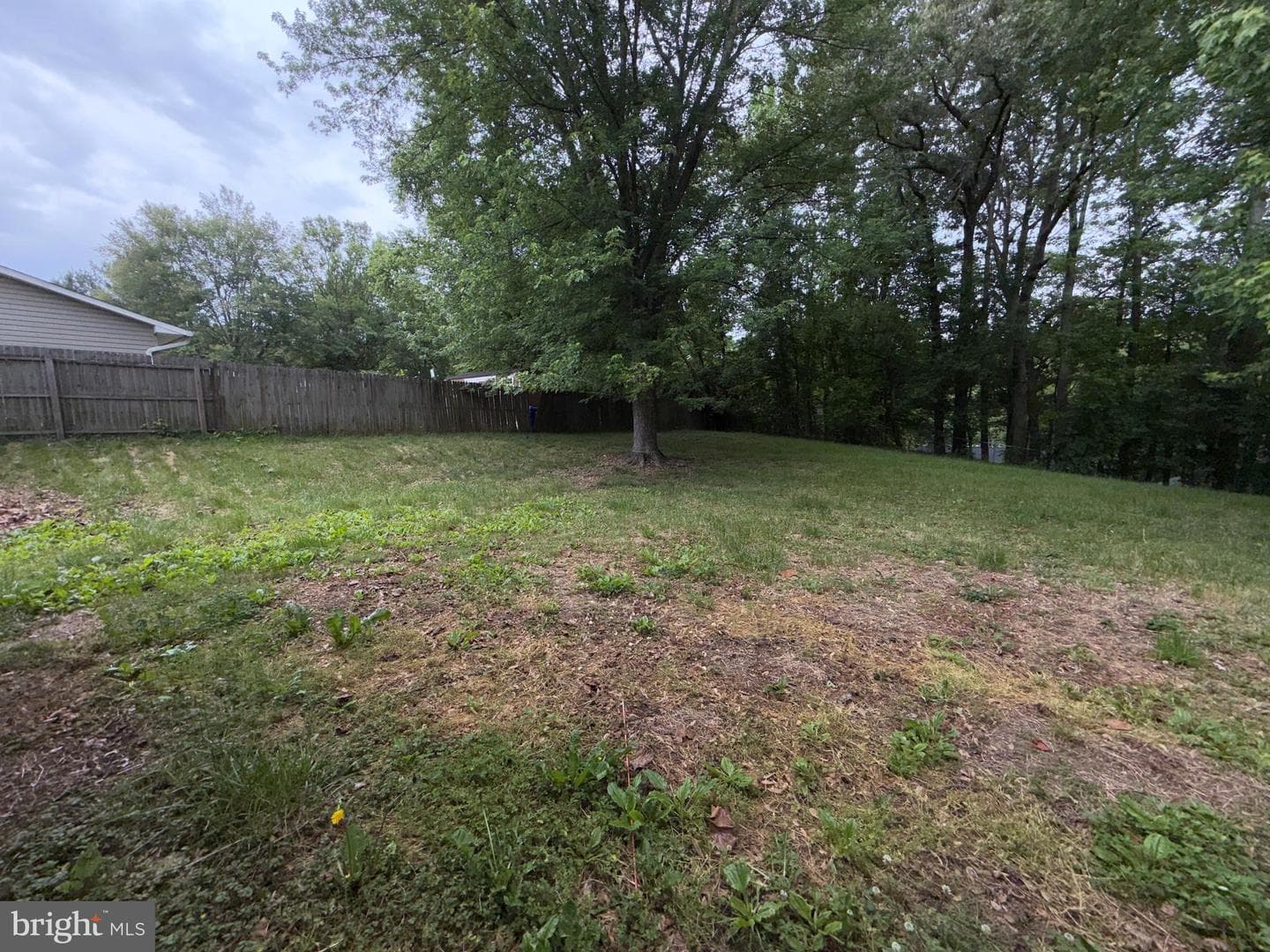 2063 Red Spruce Court photo 26