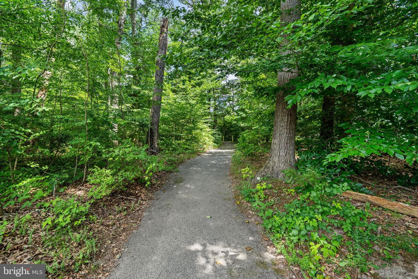 5161 Atlantis Lane photo 49