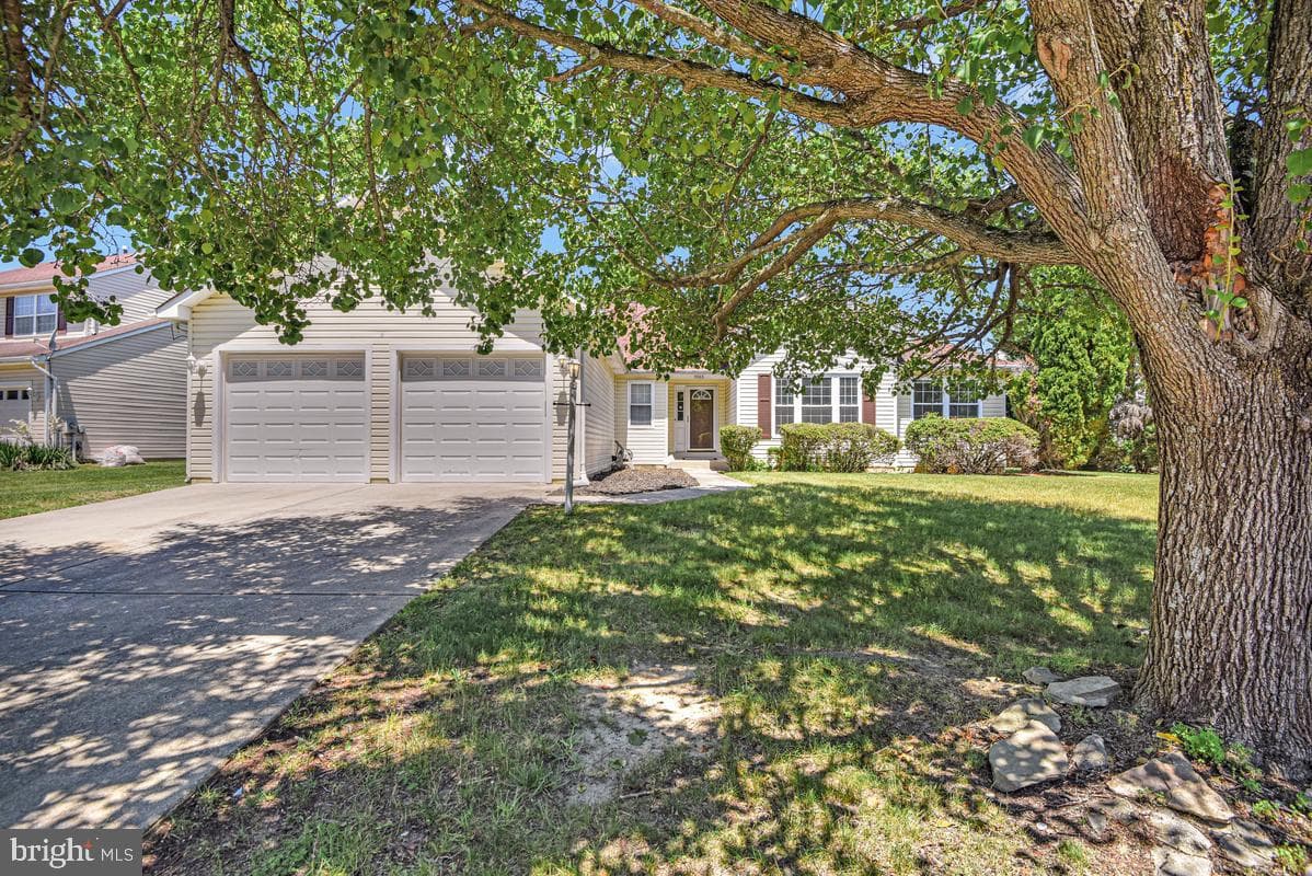 5503 Skipjack Court photo 5