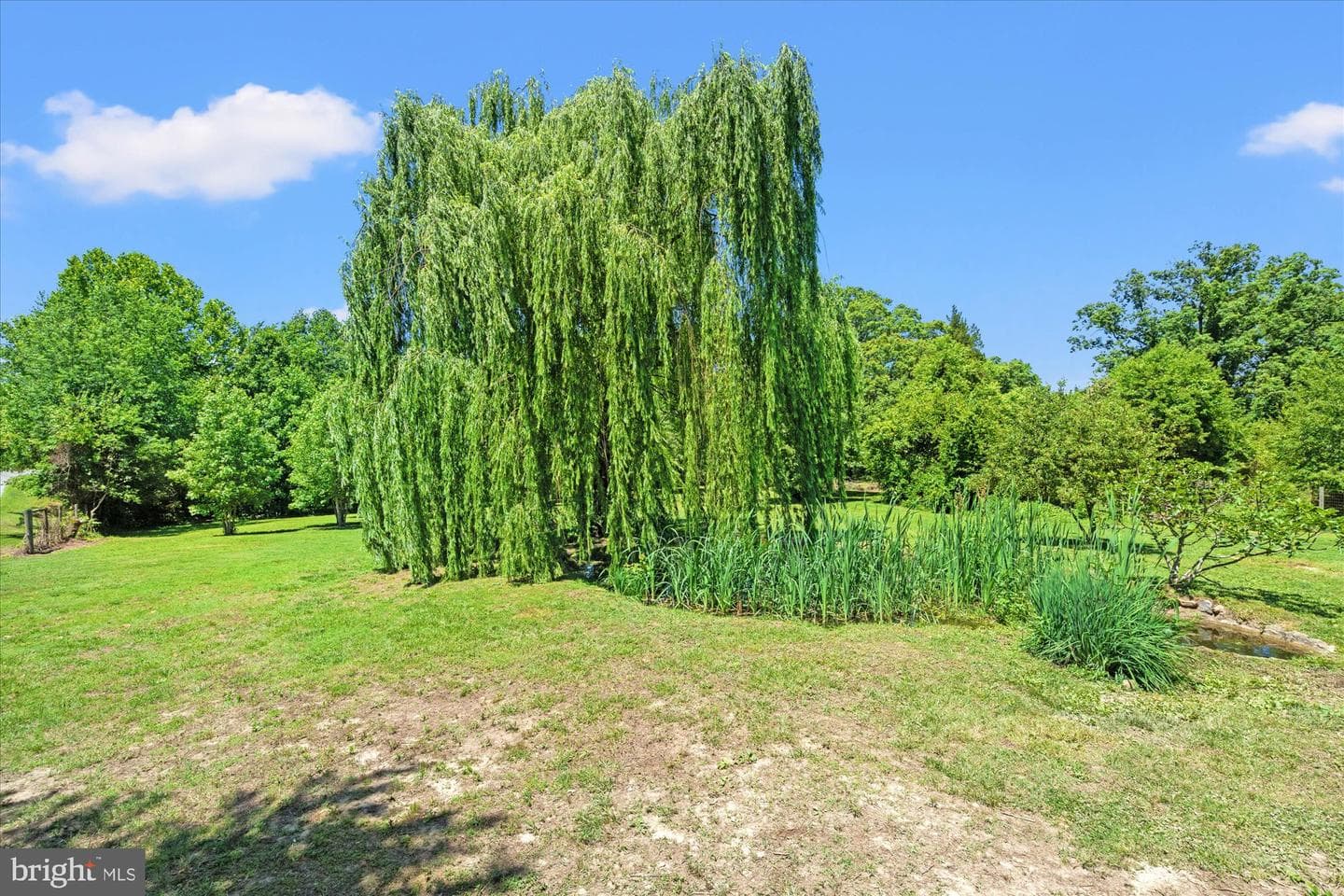 4730 Bicknell Road photo 3