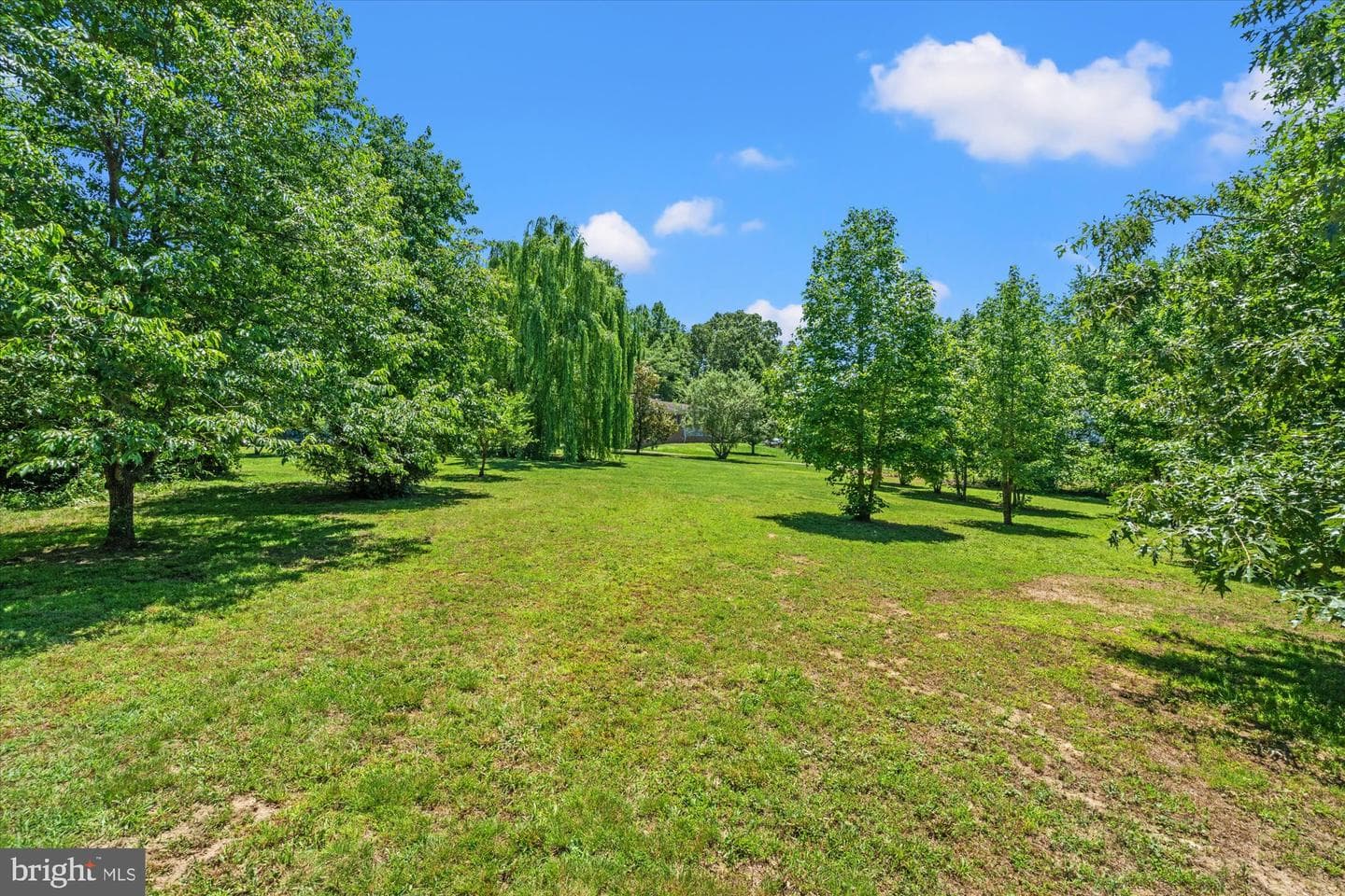 4730 Bicknell Road photo 62