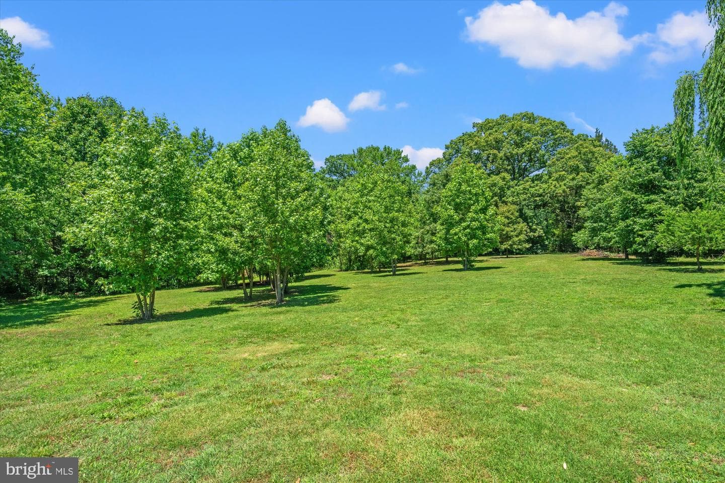4730 Bicknell Road photo 63
